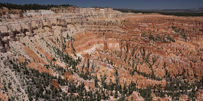 Bryce Point