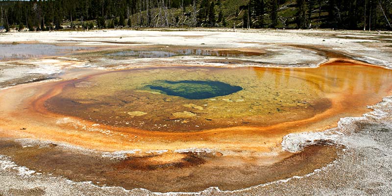 Old Faithful