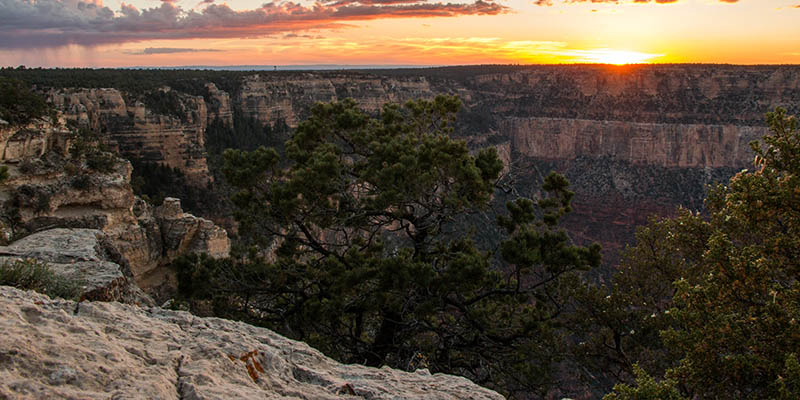 Desert View Drive