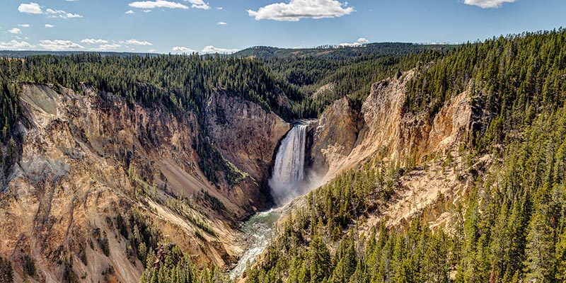 Lower Yellowstone Falls