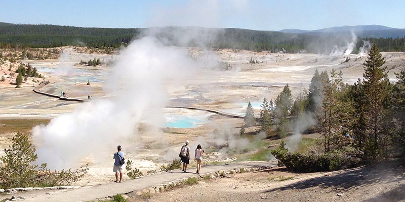 Norris Geyser