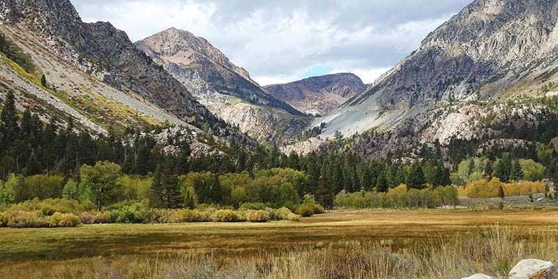 Tuolumne Meadows