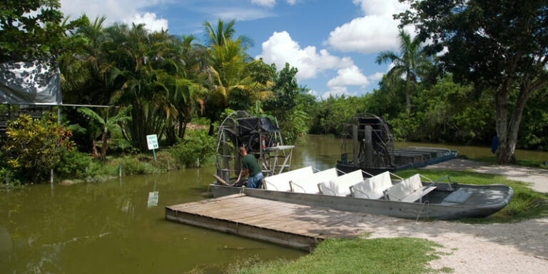 4 Must-Do Activities in Your Campervan Near Miami