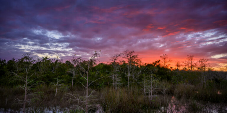 Planning a Campervan or Motorhome Trip to the Everglades