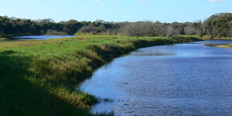 5 Breathtaking Nature Parks to See In Your 4WD Camper Close to Miami