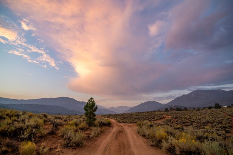 4 Unbelievably Gorgeous Parks to Visit In Your Campervan Near San Francisco